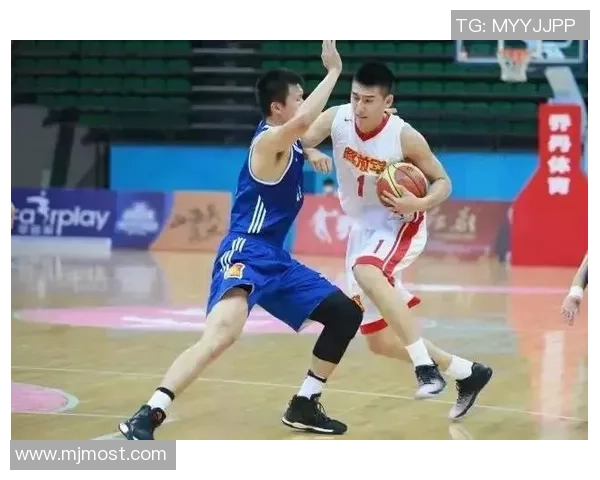 南京篮球队在全运会中的灵活性表现分析与点评